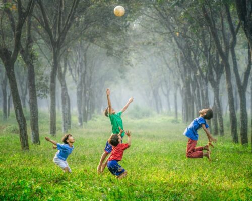 robert-collins-tvc5imO5pXk-unsplash